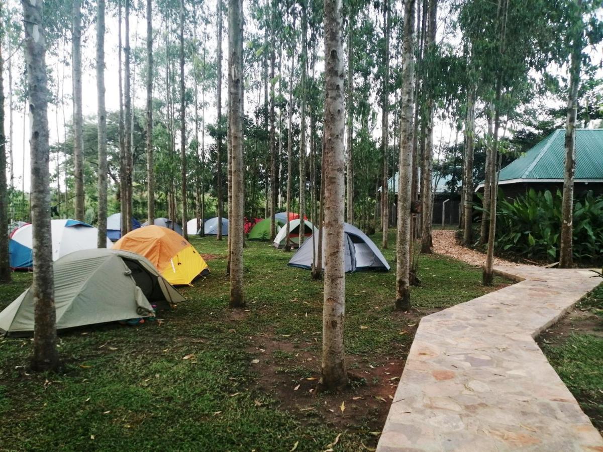 Murchison Backpackers Masindi Esterno foto