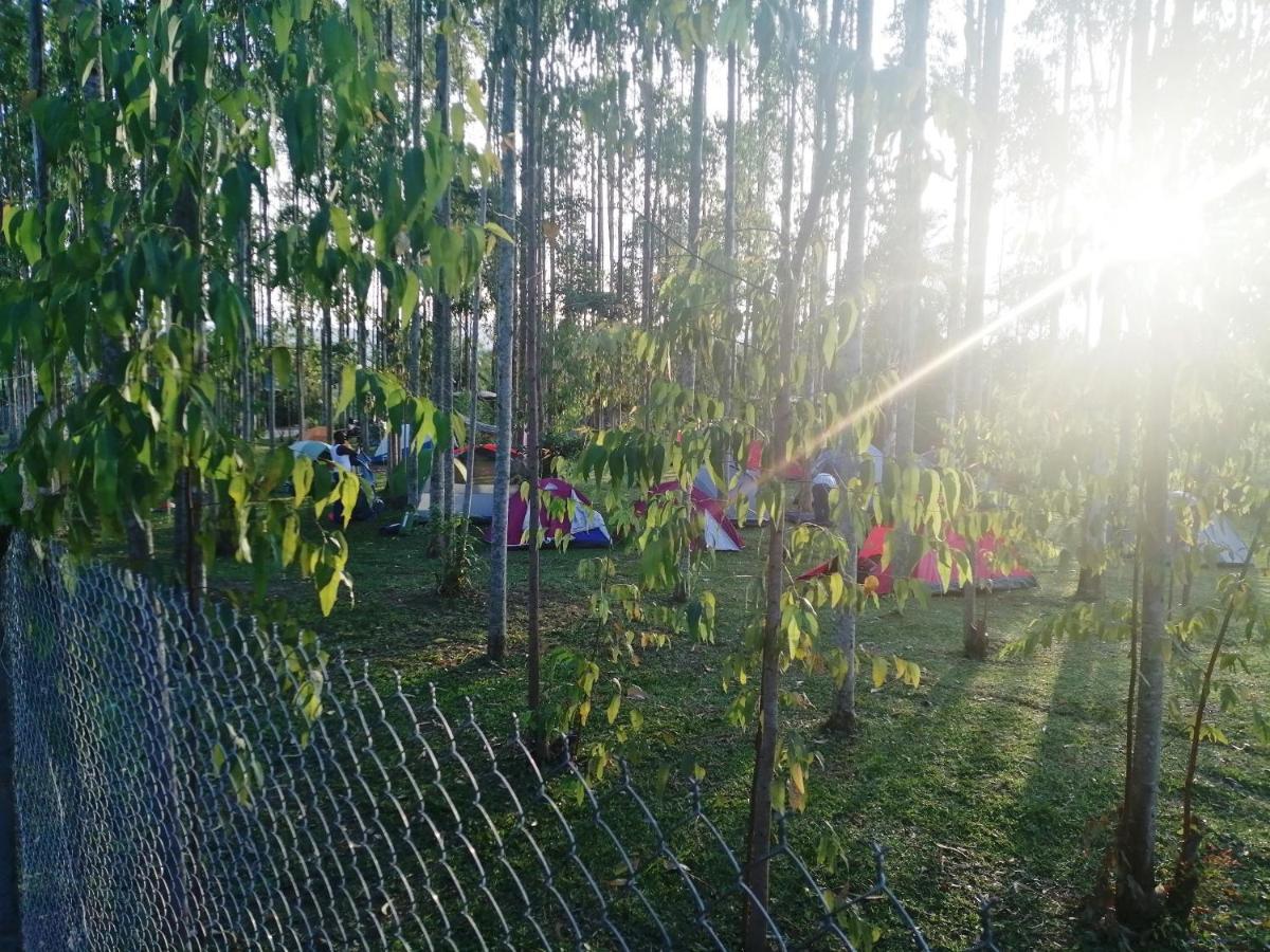 Murchison Backpackers Masindi Esterno foto