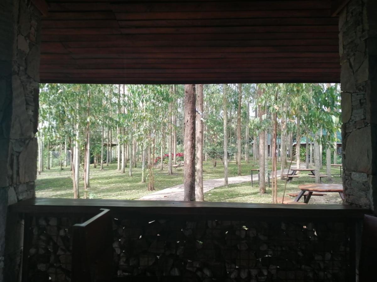 Murchison Backpackers Masindi Esterno foto