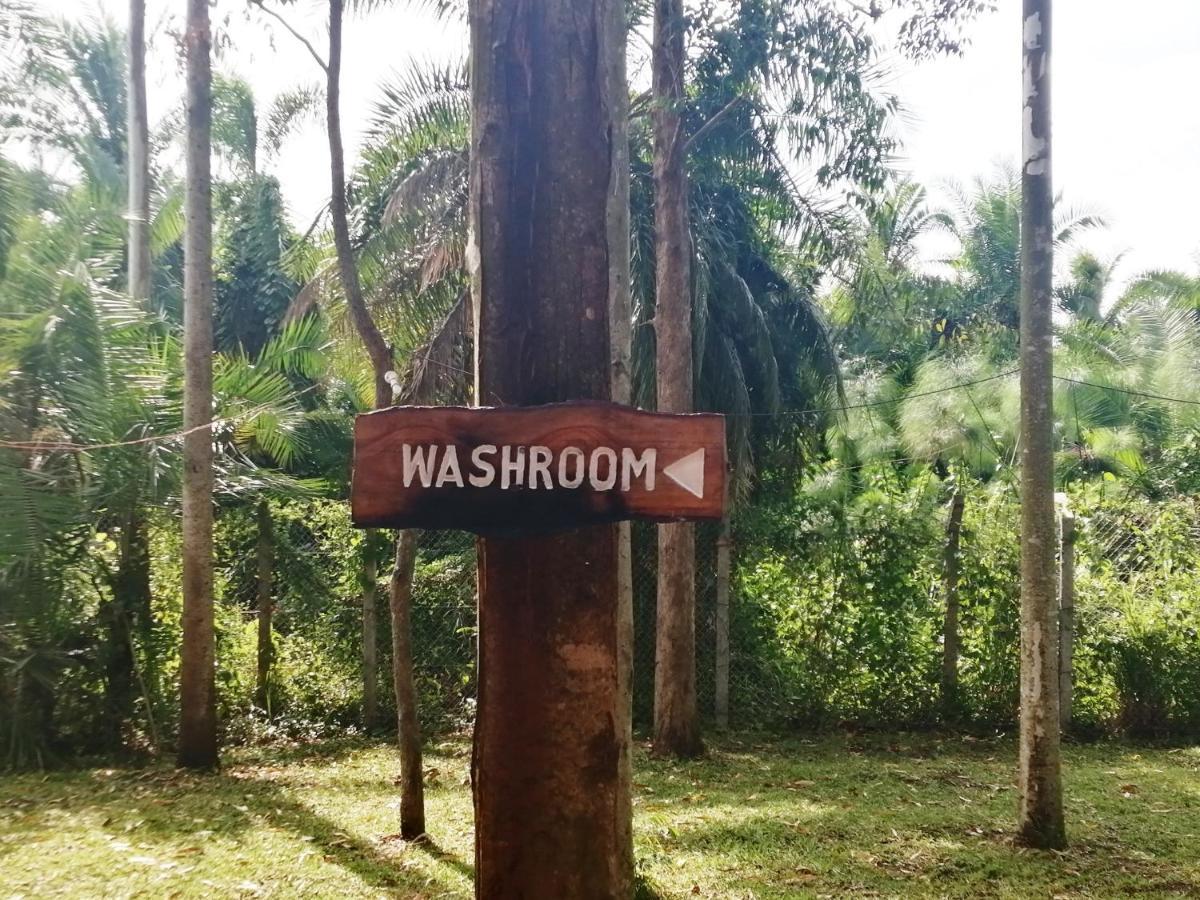 Murchison Backpackers Masindi Esterno foto