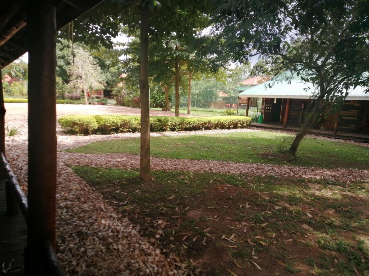 Murchison Backpackers Masindi Esterno foto