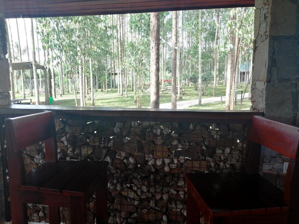 Murchison Backpackers Masindi Esterno foto